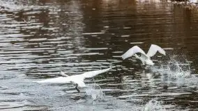 Przeprawa na Mazury, rzeki Narew i Pisa - zdjęcie 18