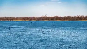 Przeprawa na Mazury, rzeki Narew i Pisa - zdjęcie 55