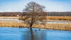 Przeprawa na Mazury, rzeki Narew i Pisa - zdjęcie 22