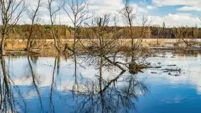Przeprawa na Mazury, rzeki Narew i Pisa - zdjęcie 10