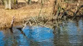 Przeprawa na Mazury, rzeki Narew i Pisa - zdjęcie 67