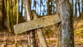 Wiosenny las przy jeziorze Gołdopiwo - zdjęcie 26