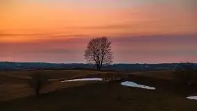 Po-zachód słońca przy wsi Upałty - zdjęcie 5