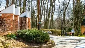 Szukaliśmy oznak wiosny w Olecku - zdjęcie 33