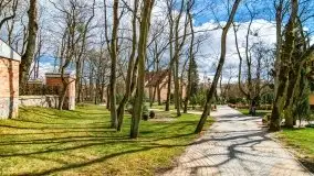 Szukaliśmy oznak wiosny w Olecku - zdjęcie 59