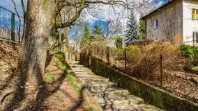 Szukaliśmy oznak wiosny w Olecku - zdjęcie 74