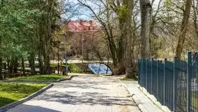 Szukaliśmy oznak wiosny w Olecku - zdjęcie 41