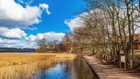 Szukaliśmy oznak wiosny w Olecku - zdjęcie 69