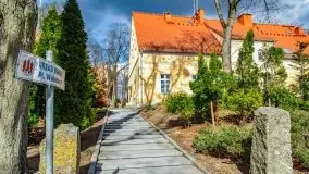 Szukaliśmy oznak wiosny w Olecku - zdjęcie 70