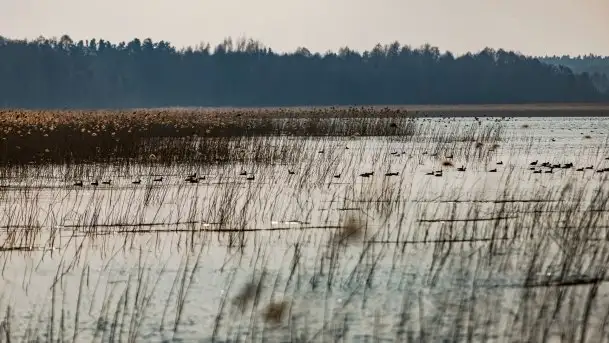 Śluza Karwik na początku wiosny 2021 - zdjęcie 10