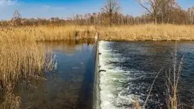 Przedwiośnie przy rzece Białoławka, marzec 2021 - zdjęcie 1