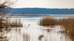 Przedwiośnie przy rzece Białoławka, marzec 2021 - zdjęcie 19