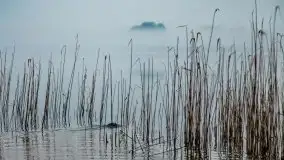 Kwietniowy wschód słońca nad jeziorem Kruklin - zdjęcie 20