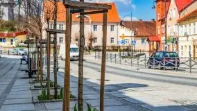 Kwietniowy i wiosenny Ryn 2021 - zdjęcie 40