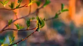 Wiosenny wschód słońca nad jeziorem Stręgiel - zdjęcie 3