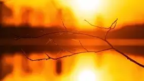 Wiosenny wschód słońca nad jeziorem Stręgiel - zdjęcie 23