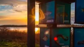 Wiosenny wschód słońca nad jeziorem Pozezdrze - zdjęcie 13