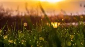 Wiosenny wschód słońca nad jeziorem Pozezdrze - zdjęcie 4