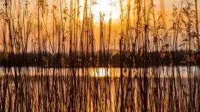 Wiosenny wschód słońca nad jeziorem Pozezdrze - zdjęcie 23