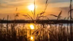 Wiosenny wschód słońca nad jeziorem Pozezdrze - zdjęcie 19