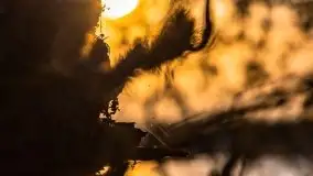 Wiosenny wschód słońca nad jeziorem Pozezdrze - zdjęcie 3