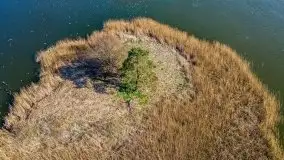 Piecki, ścieżka edukacyjna wokół stawu - zdjęcie 12