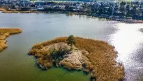 Piecki, ścieżka edukacyjna wokół stawu - zdjęcie 34