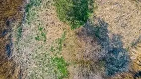 Piecki, ścieżka edukacyjna wokół stawu - zdjęcie 41