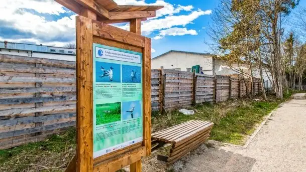 Piecki, ścieżka edukacyjna wokół stawu - zdjęcie 9