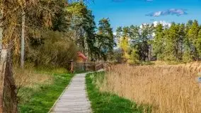 Piecki, ścieżka edukacyjna wokół stawu - zdjęcie 67