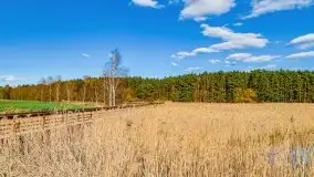 Piecki, ścieżka edukacyjna wokół stawu - zdjęcie 36