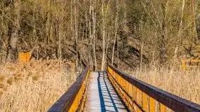 Piecki, ścieżka edukacyjna wokół stawu - zdjęcie 63