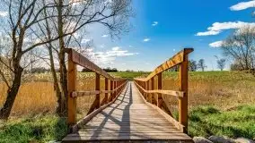 Piecki, ścieżka edukacyjna wokół stawu - zdjęcie 35