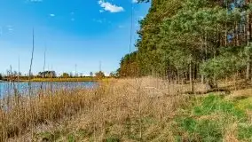 Piecki, ścieżka edukacyjna wokół stawu - zdjęcie 46