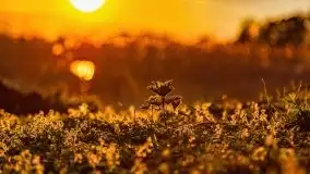 Zachód słońca nad jeziorem Wojnowo - zdjęcie 12