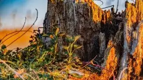 Zachód słońca nad jeziorem Wojnowo - zdjęcie 7