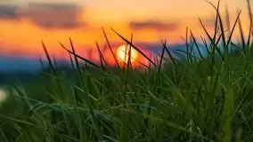 Zachód słońca nad jeziorem Wojnowo - zdjęcie 18