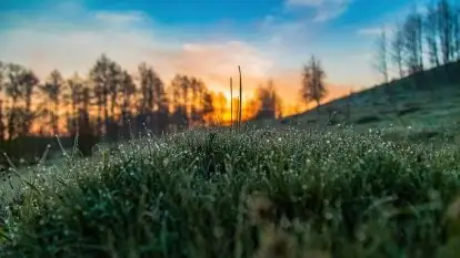 Majowy wschód słońca nad jeziorem Wojnowo