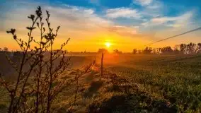 Majowy wschód słońca nad jeziorem Wojnowo - zdjęcie 9