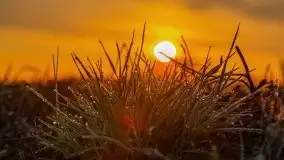 Majowy wschód słońca nad jeziorem Wojnowo - zdjęcie 29