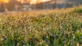 Majowy wschód słońca nad jeziorem Wojnowo - zdjęcie 41