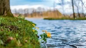 Majowy wieczór z mazurską przyrodą - zdjęcie 7