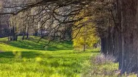 Wiosenne widoki z okolic Sztynortu, maj 2021 - zdjęcie 13