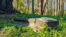 Wiosenne widoki z okolic Sztynortu, maj 2021 - zdjęcie 10