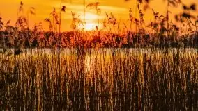 Majowy zachód słońca w porcie Trygort - zdjęcie 4