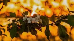 Majowy zachód słońca w porcie Trygort - zdjęcie 20