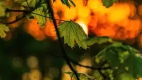 Majowy zachód słońca w porcie Trygort - zdjęcie 36