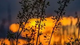 Zachód słońca nad jeziorem Święcajty, maj 2021 - zdjęcie 6