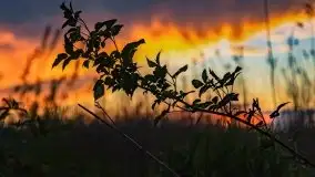 Zachód słońca nad jeziorem Święcajty, maj 2021 - zdjęcie 47