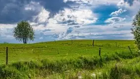 Wiosna na całego na i piękne okoliczności przyrody - zdjęcie 11